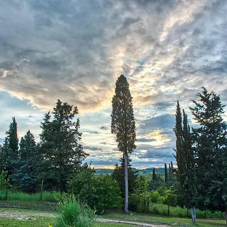 In Tuscany 카스텔피오렌티노